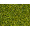 Noch 08363 Streugras hellgrün, 4 mm