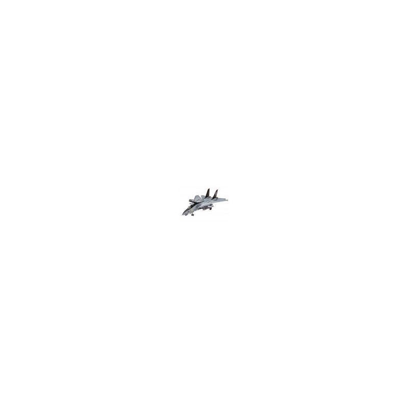 Revell 03960 F-14D Super Tomcat