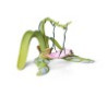 Schleich 42096 Elfenschaukel