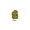 Busch 3731 Buche