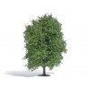 Busch 3632 Buche