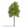 Busch 3791 Platane