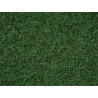 Noch 08320 Streugras Moorboden