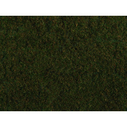 Noch 07272 Foliage