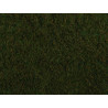 Noch 07272 Foliage