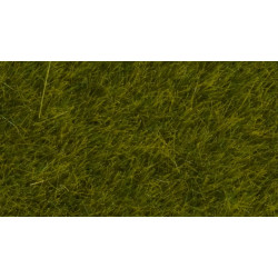 Noch 07100 Wildgras “Wiese”