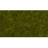 Noch 07100 Wildgras “Wiese”