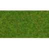 Noch 08314 Streugras “Zierrasen”