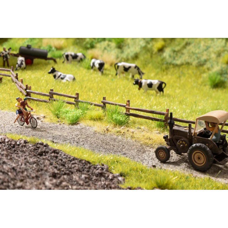 Noch 60773 Vegetations-Startset "Am Wegesrand"