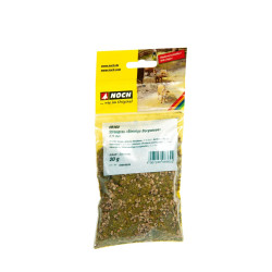 Noch 08360 Streugras “Steinige Bergwiese”