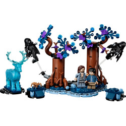 Lego 76475 Verbotener Wald:...