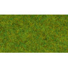 Noch 08300 Streugras “Frühlingswiese”